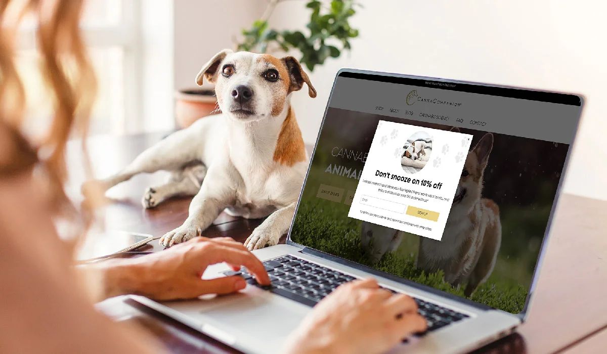 Pet5ardas com: A Powerful All-in-One Pet Care Platform